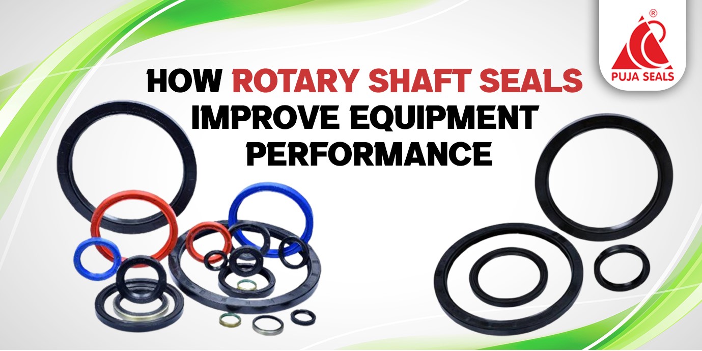 Rotary Shaft Seals