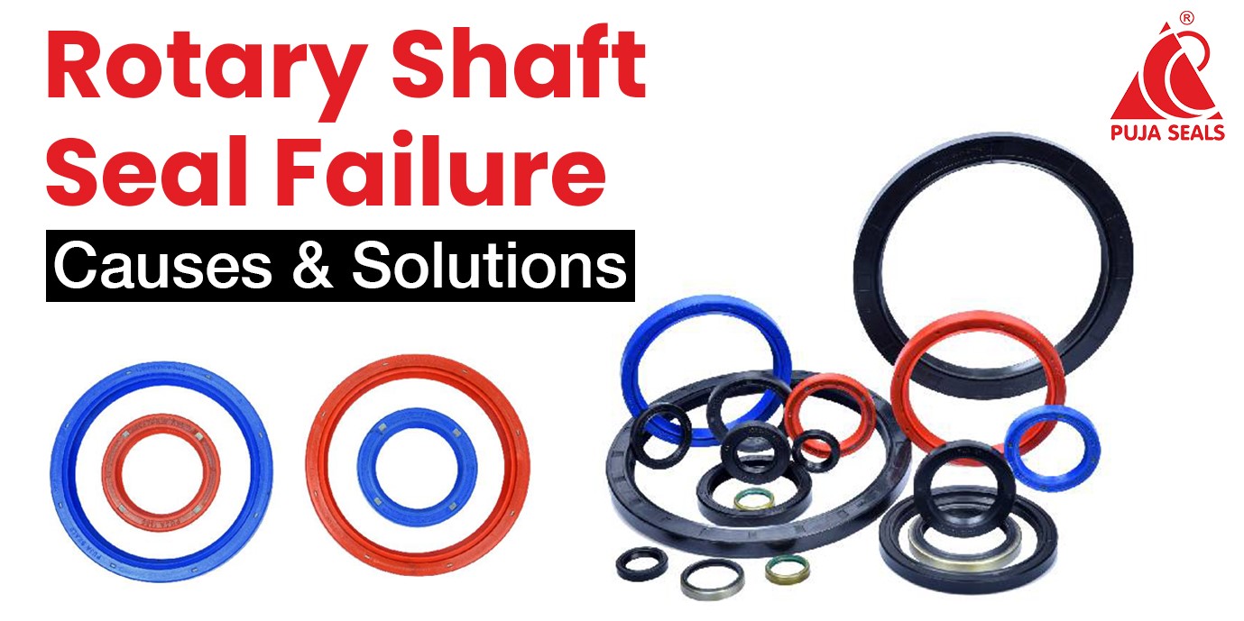 Rotary Shaft Seal Failure